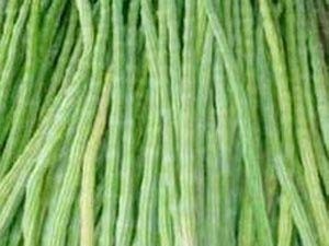 முருங்கைக்காய்