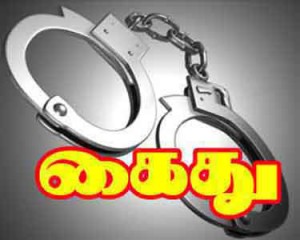 மெஞ்ஞானபுரம் அருகே தொடர் திருட்டில் ஈடுபட்ட 2 பேர் கைது