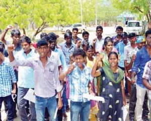 ஸ்ரீவைகுண்டம் அணையில் அமலைச் செடிகள் மட்டும் அகற்றம்