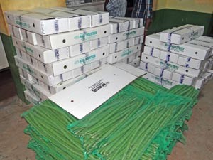 வெளிநாடுகளுக்கு ஏற்றுமதியாகும் திசையன்விளை முருங்கைக்காய்