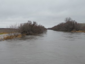 குளத்து நீர் வெளியேறி சாலையில் தேக்கம்