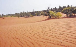 நதியை எப்போதும் அநீதியால் அடைக்க முடியாது