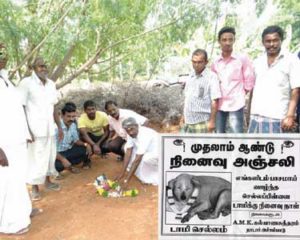 %e0%ae%a4%e0%ae%bf%e0%ae%9a%e0%af%88%e0%ae%af%e0%ae%a9%e0%af%8d%e0%ae%b5%e0%ae%bf%e0%ae%b3%e0%af%88-%e0%ae%85%e0%ae%b0%e0%af%81%e0%ae%95%e0%af%87-%e0%ae%b5%e0%ae%bf%e0%ae%a9%e0%af%8b%e0%ae%a4%e0%ae%ae